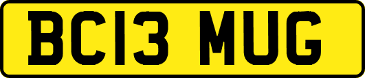 BC13MUG