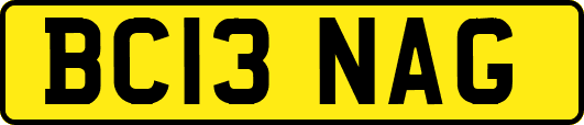 BC13NAG