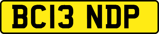 BC13NDP