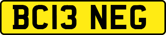 BC13NEG