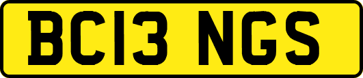 BC13NGS