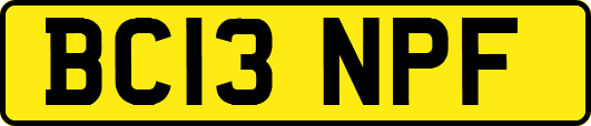 BC13NPF