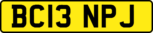 BC13NPJ