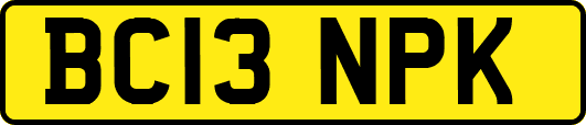 BC13NPK