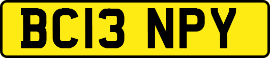 BC13NPY