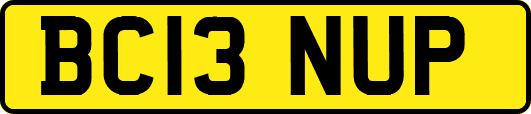 BC13NUP
