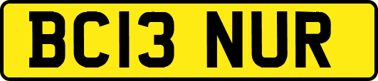 BC13NUR