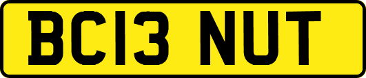 BC13NUT