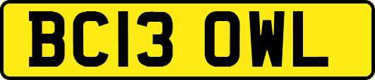 BC13OWL