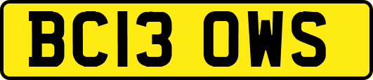 BC13OWS