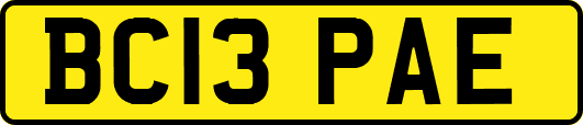 BC13PAE