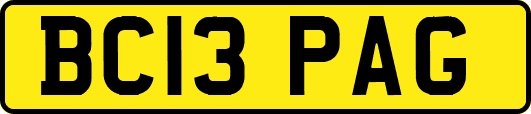 BC13PAG