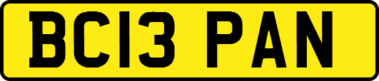 BC13PAN