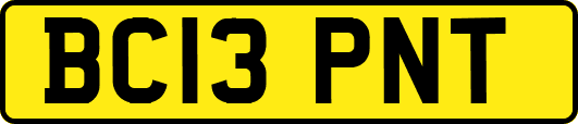 BC13PNT
