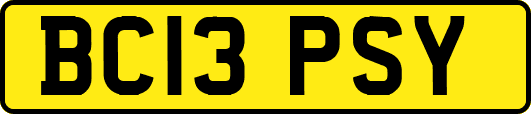 BC13PSY