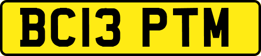 BC13PTM