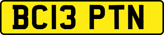 BC13PTN