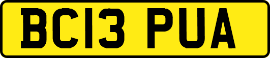 BC13PUA