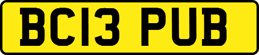 BC13PUB