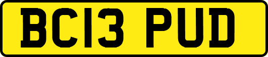 BC13PUD