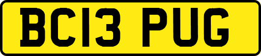BC13PUG