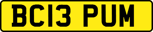 BC13PUM
