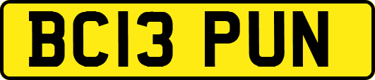 BC13PUN