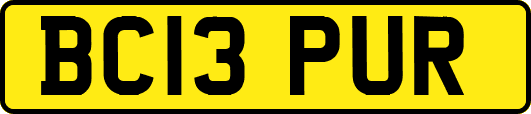 BC13PUR