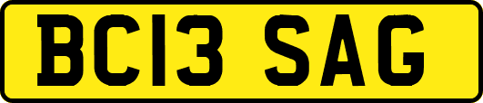 BC13SAG