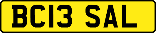 BC13SAL