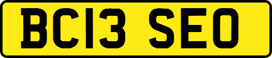 BC13SEO