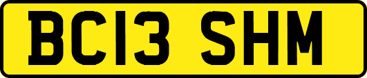 BC13SHM