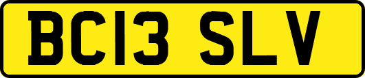 BC13SLV