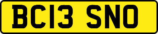 BC13SNO