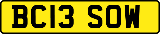 BC13SOW