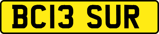 BC13SUR