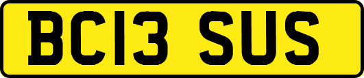 BC13SUS