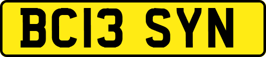 BC13SYN