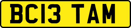 BC13TAM
