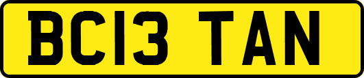 BC13TAN