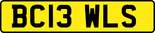BC13WLS