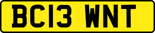 BC13WNT