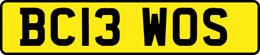 BC13WOS