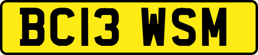 BC13WSM
