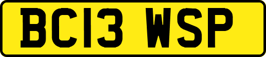 BC13WSP