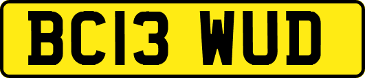 BC13WUD