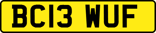 BC13WUF