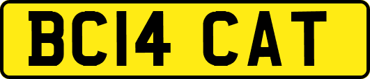 BC14CAT