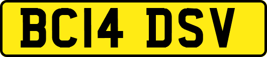 BC14DSV