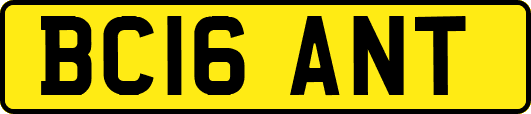 BC16ANT